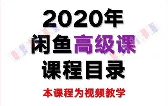 懒觉猫闲鱼初级+高级课